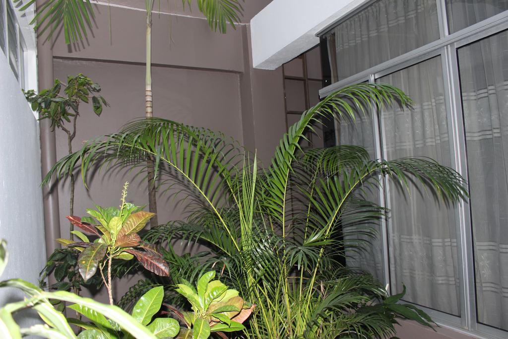 里贾纳酒店 La Fortuna 外观 照片